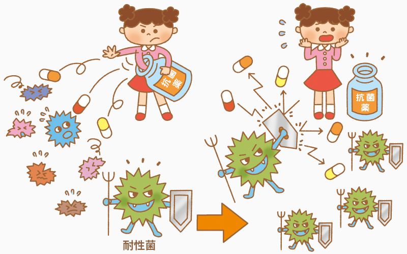 生き残った薬剤耐性菌が増える