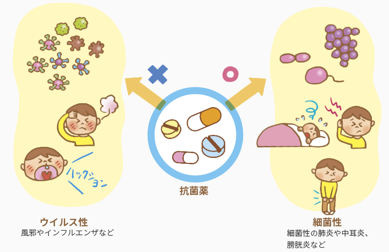 抗菌薬はウイルスには効きません