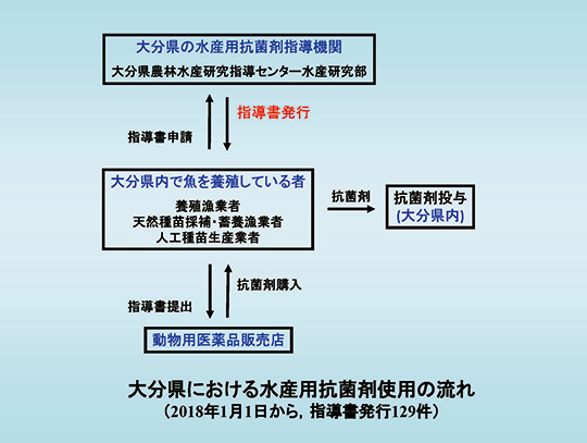 大分県における水産用抗菌剤使用の流れ