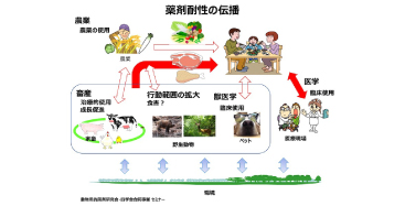 抗菌剤の使用を最小限にする魚病対策を推進