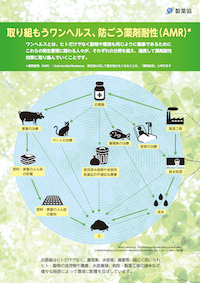 One Health フライヤー1