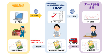 2つのシステムPigINFO Bioとe-shijishoで養豚農場ごとの抗菌薬使用量を継続的に評価