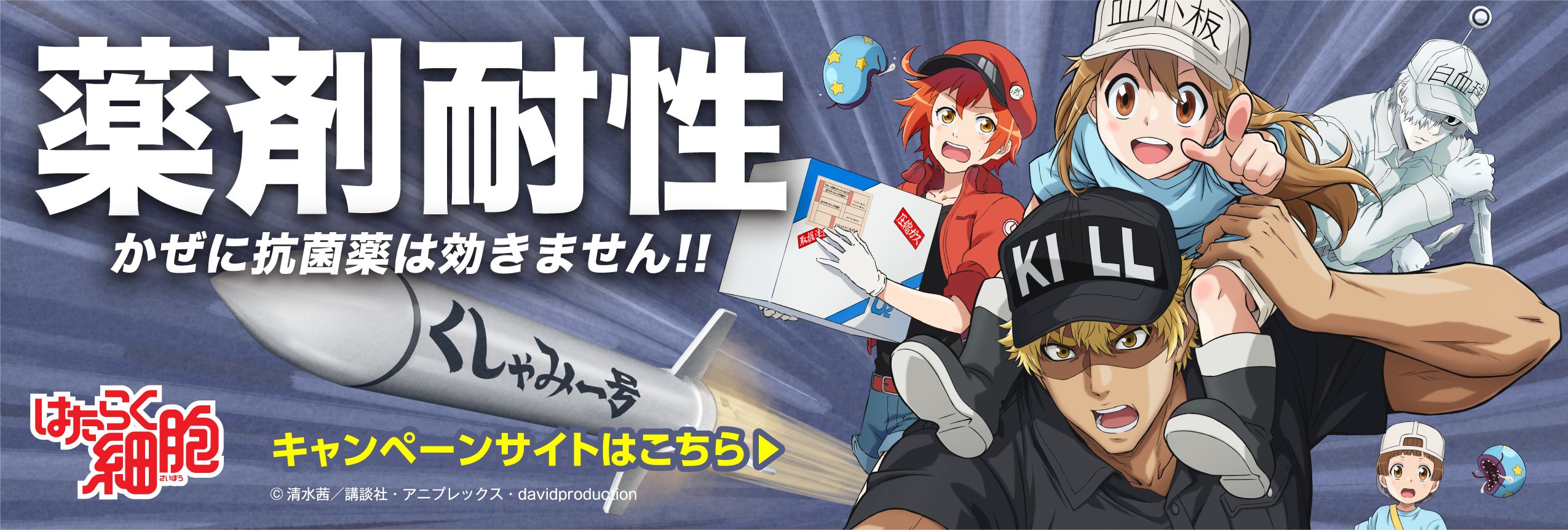 AMR(薬剤耐性)対策月間