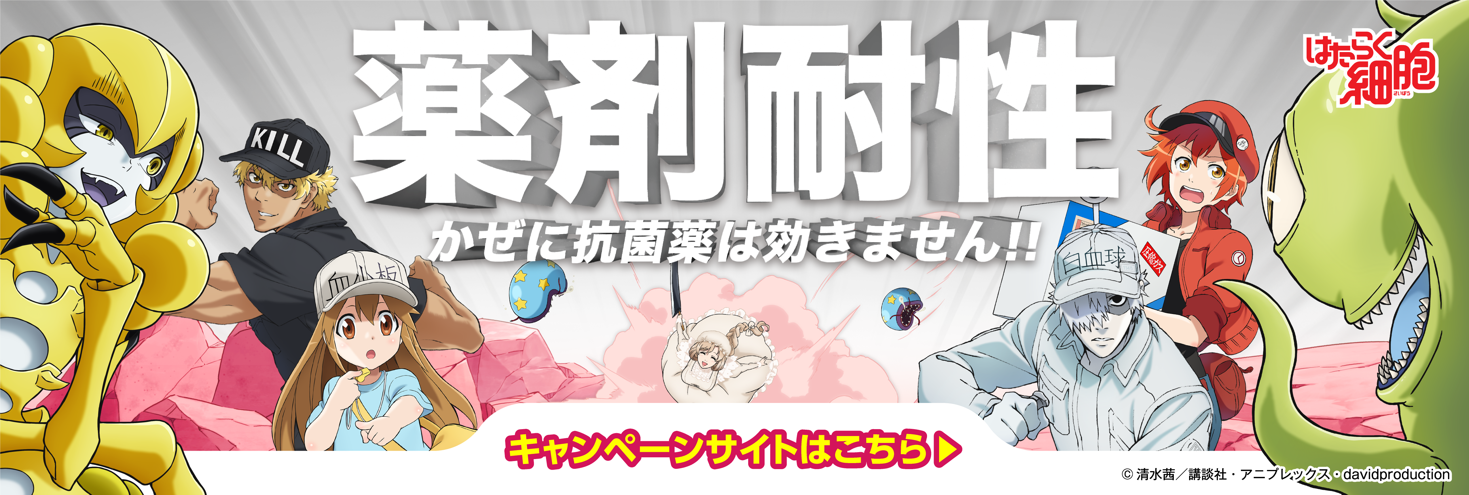 AMR（薬剤耐性）対策月間