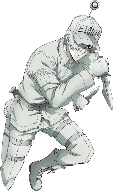 白血球(好中球)